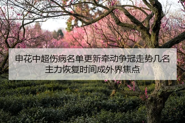 申花中超伤病名单更新牵动争冠走势几名主力恢复时间成外界焦点